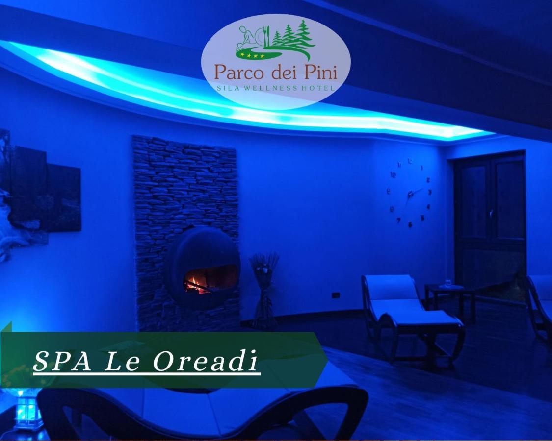 Parco Dei Pini - Sila Wellness Hotel 塔瓦娜 外观 照片