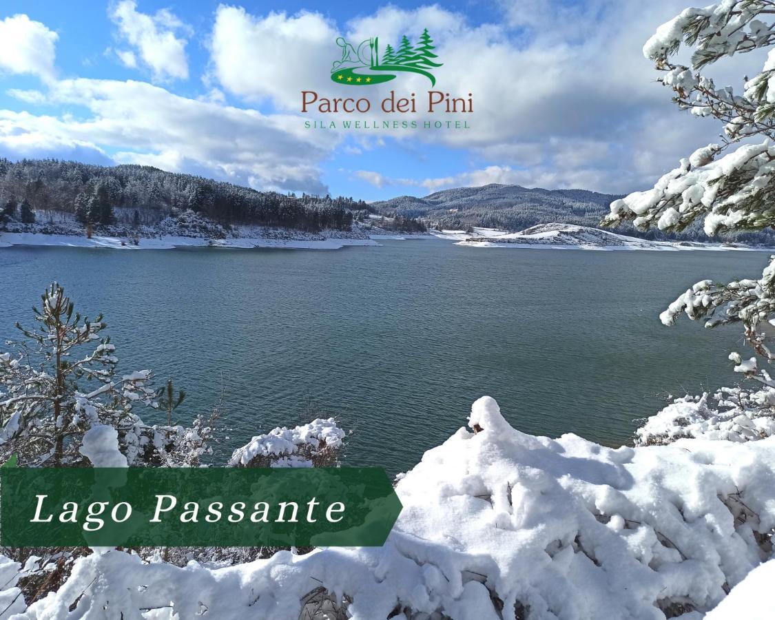 Parco Dei Pini - Sila Wellness Hotel 塔瓦娜 外观 照片