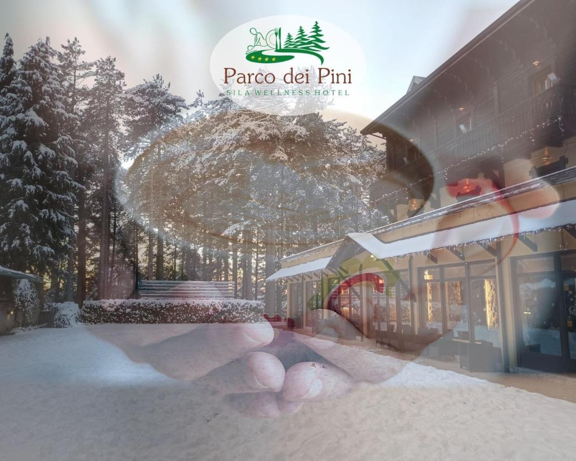 Parco Dei Pini - Sila Wellness Hotel 塔瓦娜 外观 照片